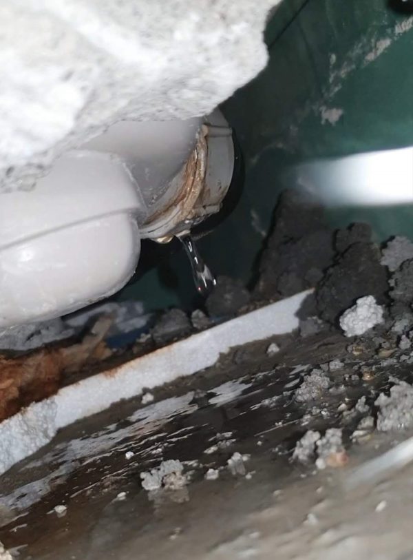 Casatrock - Leckortung, Trocknung & Sanierung | Ihre Profis für zu Hause